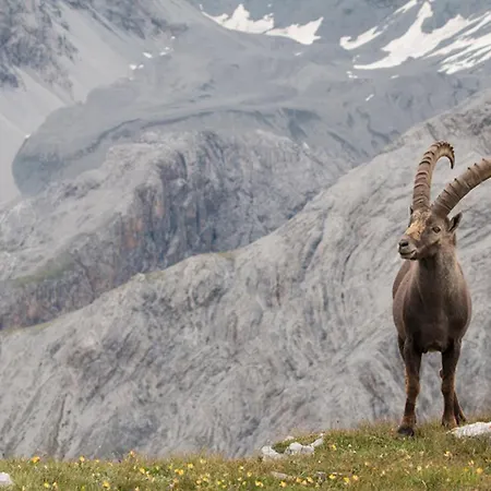 Central La Fainera Superior